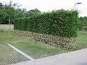 Hochwasser (345)